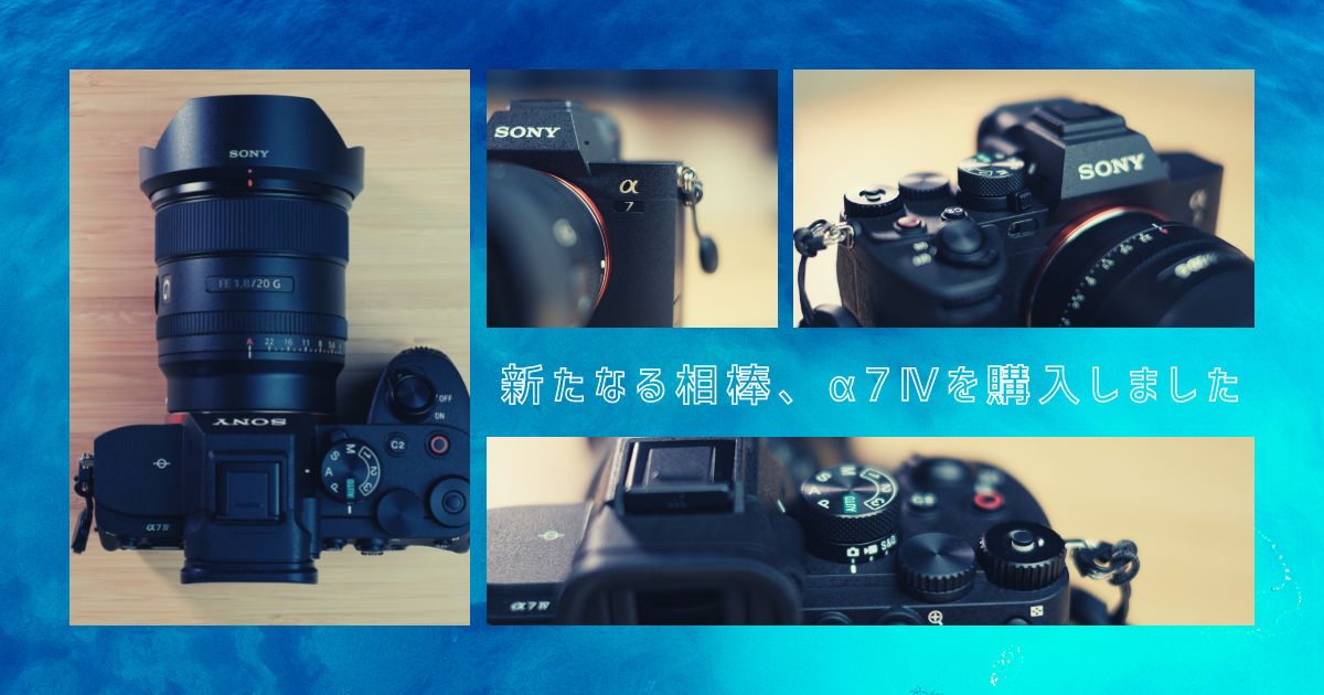 新たなる相棒、α7Ⅳを購入しました